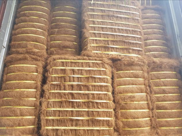 Sri Lanka Coir Mattress Fiber Bales